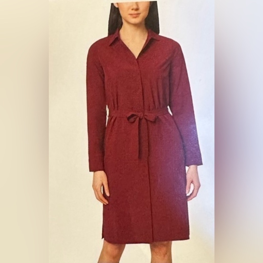 042 Modern Ambition Ladies Travel Shirt Dress